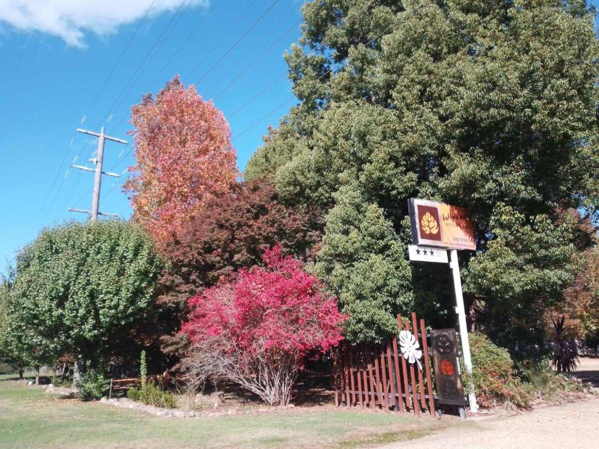 Buffalo Motel And Country Retreat Porepunkah Buitenkant foto